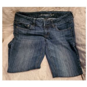 American Eagle Artist 6S